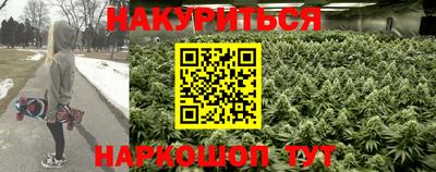 тгк Новокубанск