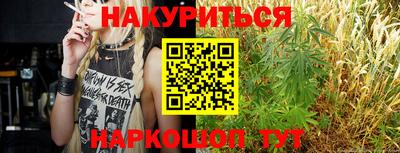 тгк Новокубанск