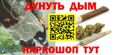 тгк Новокубанск