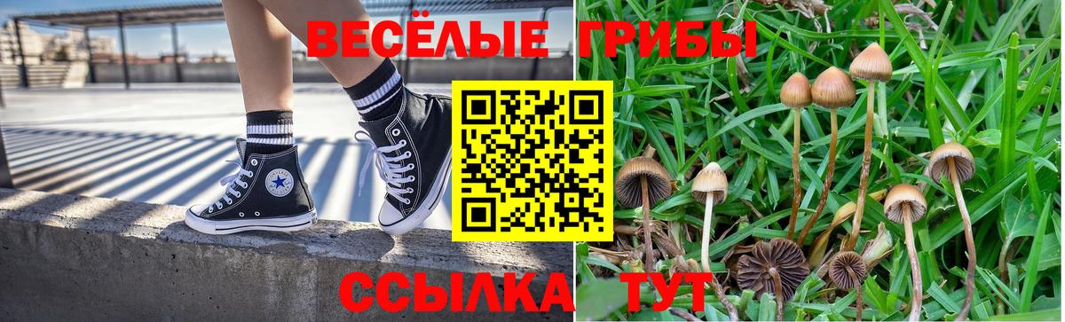 Сургут  Псилоцибиновые грибы GOLDEN TEACHER  где купить   Галлюциногенные грибы прущие грибы  Вход с VPN 