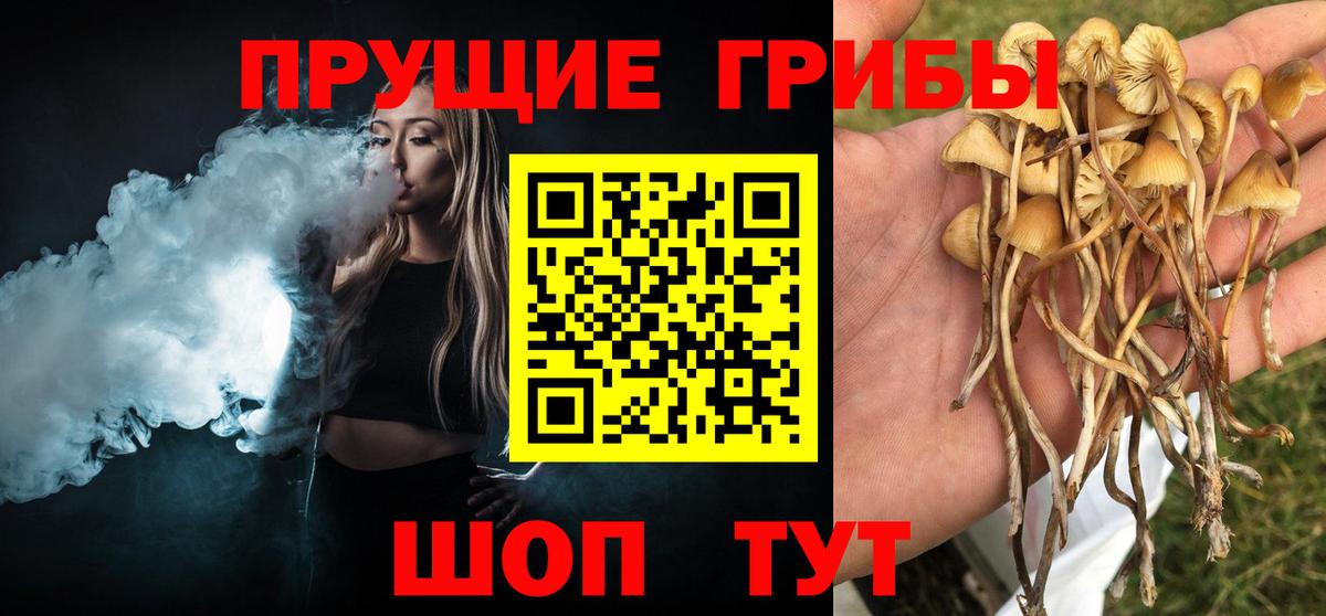 Галлюциногенные грибы мицелий Сургут
